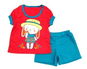 Conjunto fem m/curta