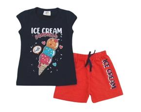 Conjunto fem m/curta