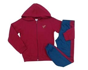 Conjunto inf moletom