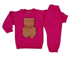 Conjunto fem moletom