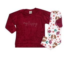 Conjunto fem moletom