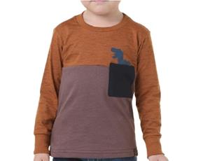 Camiseta masc m/longa
