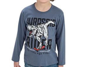 Camiseta juv manga longa