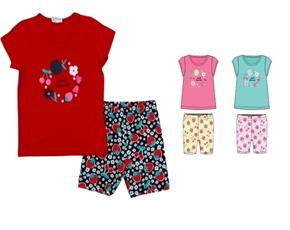 Conjunto fem m/curta
