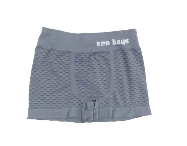 Cueca-boxer Zeerucci Inf Poliamida S/costura