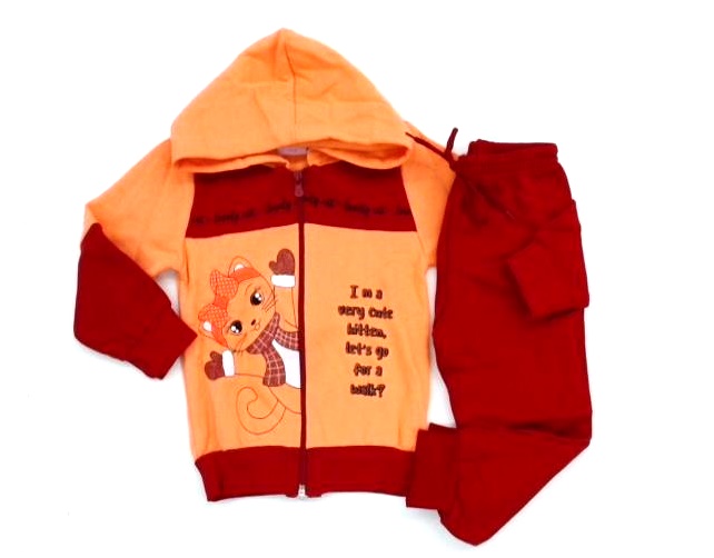 Conjunto Wilbertex P.passos Fem Mol Capuz Calça