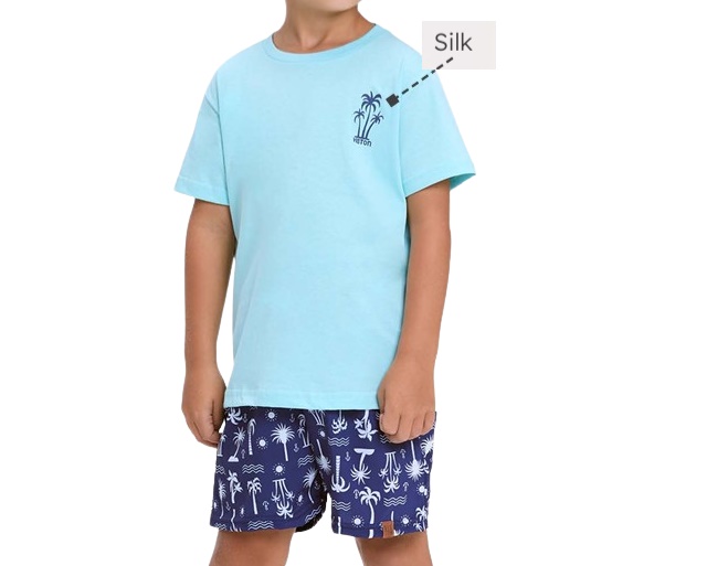 Conjunto Viston Infantil Masculino Manga Curta Malha