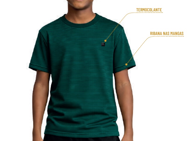 Camiseta Desayner Juvenil Masculina Manga Curta Malha Listrada