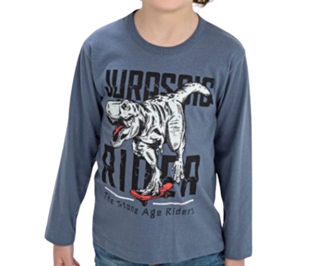 Camiseta Fashionk Juvenil Masculina Manga Longa Malha