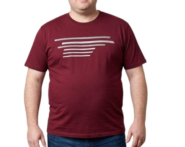 Camiseta Tsg Adulto Extra Grande Masculina Manga Curta Malha